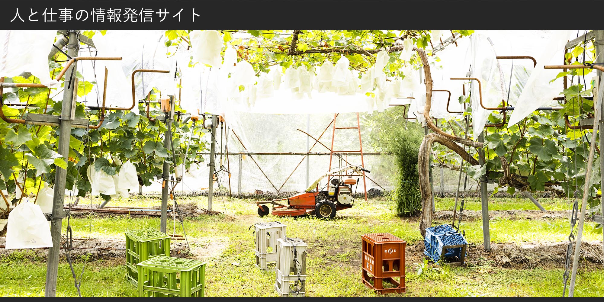 サイトのトップ画像-高橋農園