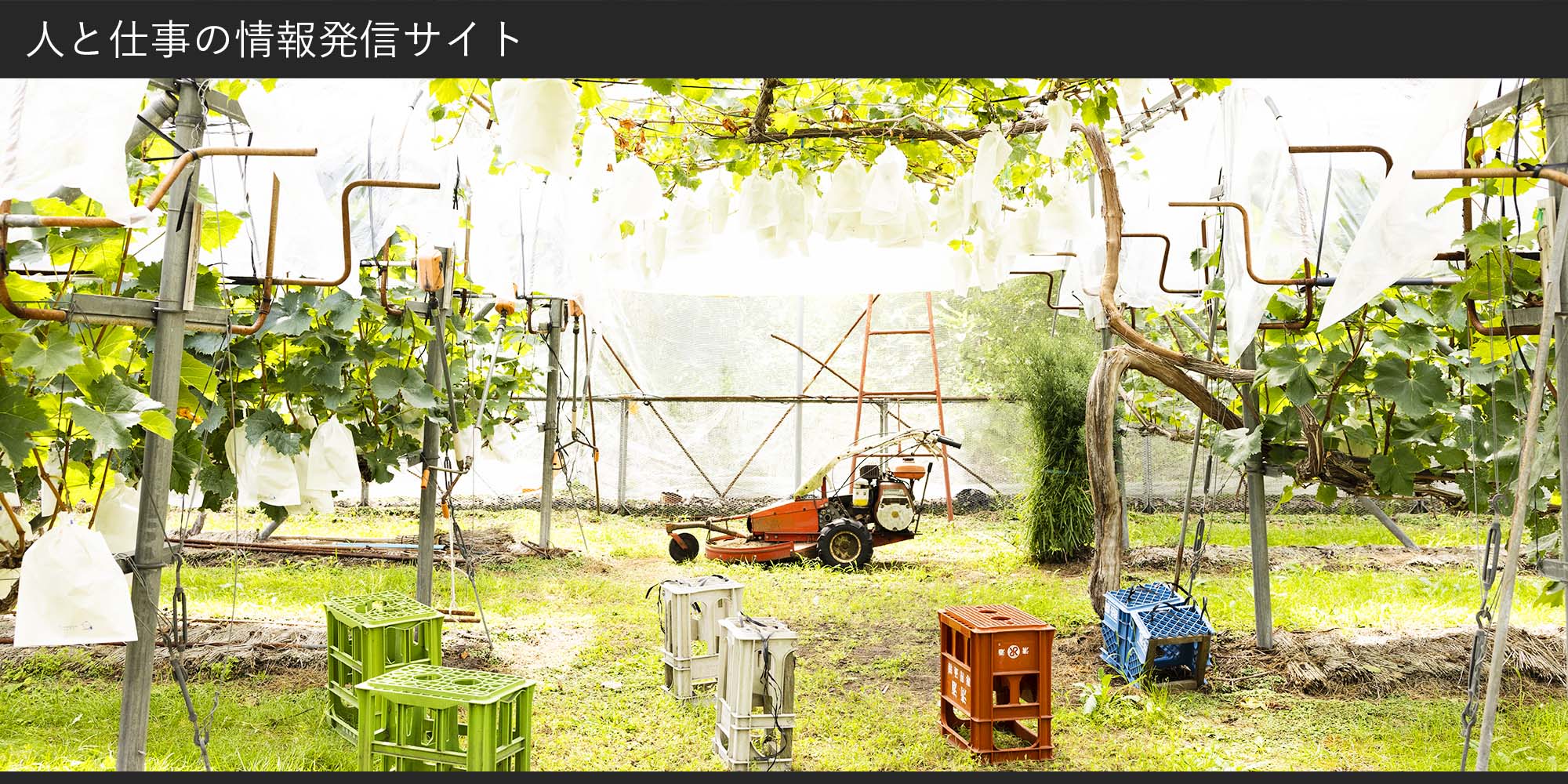 サイトのトップ画像-高橋農園